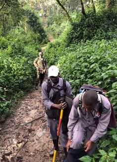 Uganda Safari